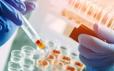 Les projets de recherche soutenus en 2025